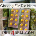 Ginseng Für Die Niere new10